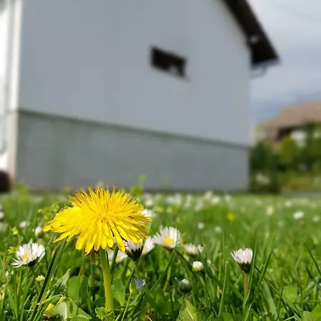 Apartman Mauro Rakovica Extérieur photo